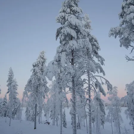 Aurora View アパート ロヴァニエミ