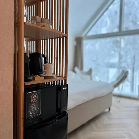 Aurora View ロヴァニエミ