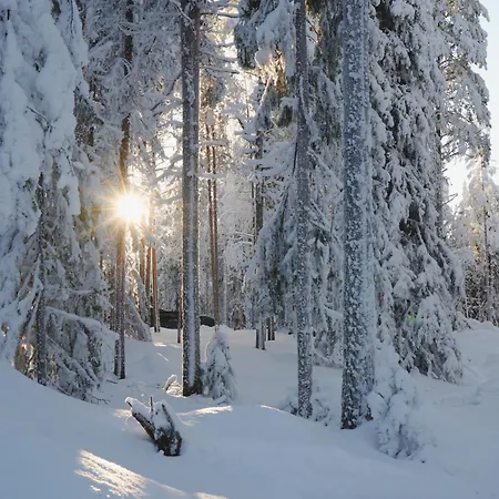 Appartamento Aurora View