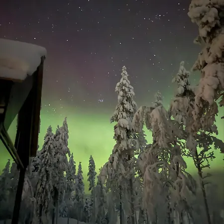 Aurora View * Rovaniemi