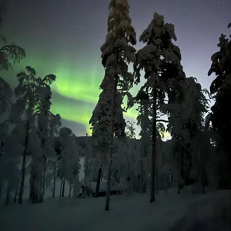 Aurora View