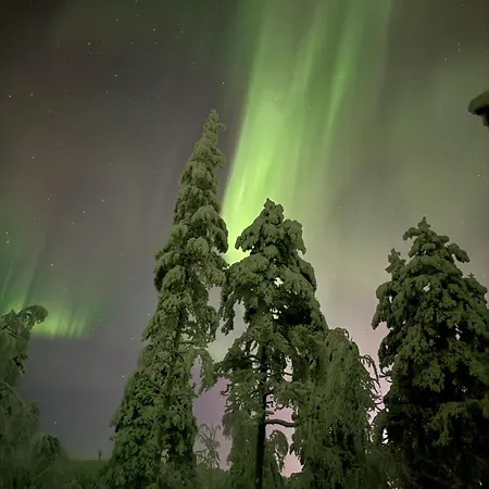 Aurora View