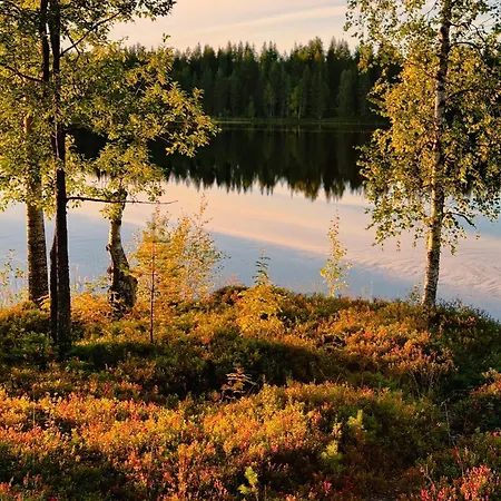 Aurora View