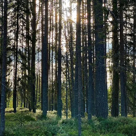 Huoneisto Aurora View *