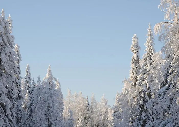 Aurora View Appartamento Rovaniemi