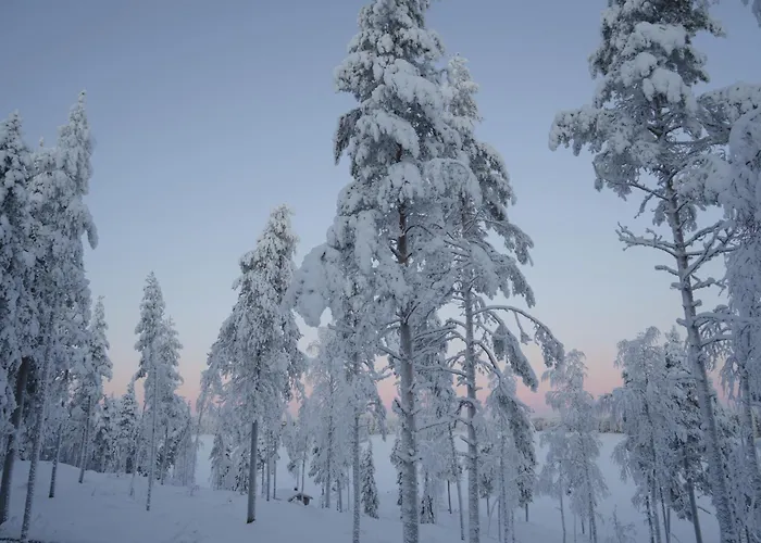 Aurora View アパート ロヴァニエミ