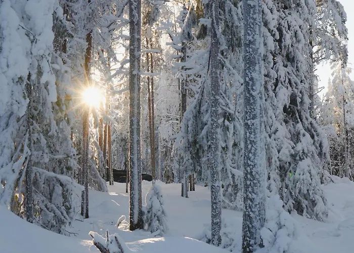 Appartamento Aurora View